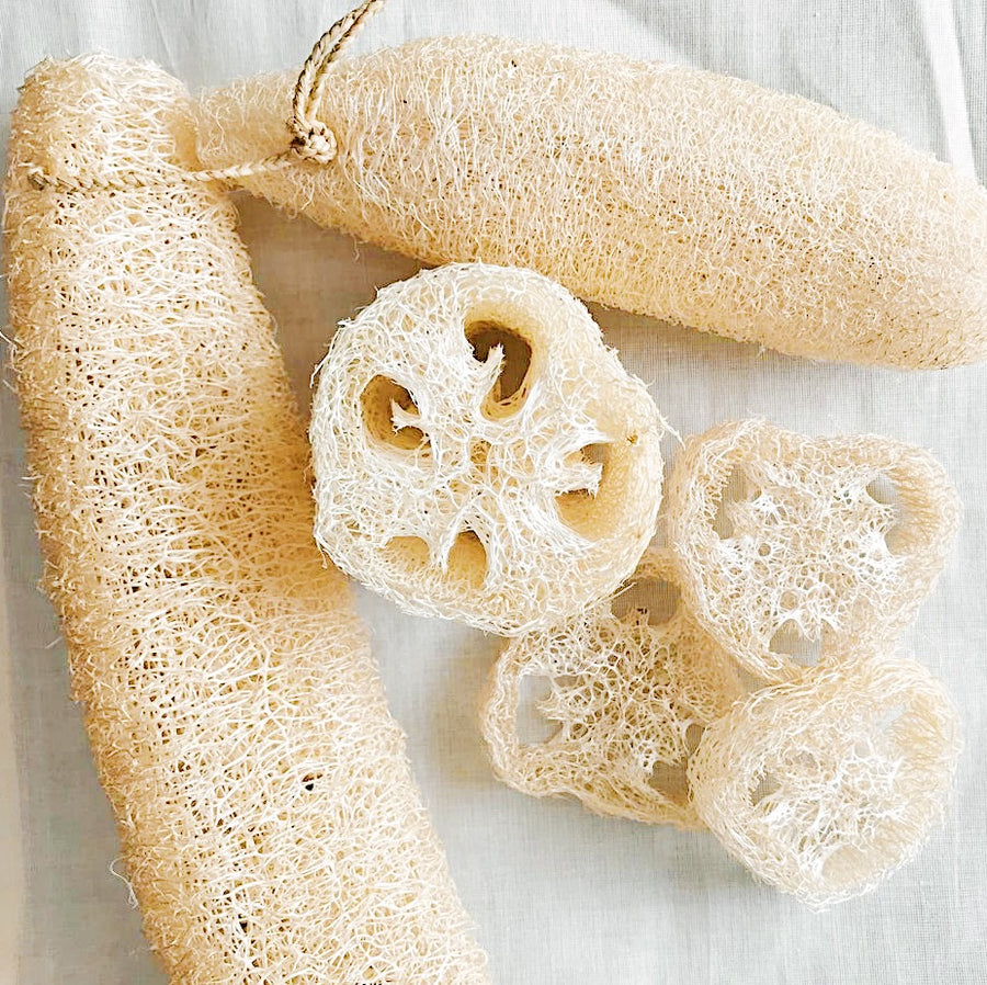 Loofah Dish Sponge, From a Natural Plant, Plastic-Free