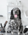 Shampoo per cani BOOF Protection per cani a pelo corto - Vallescura